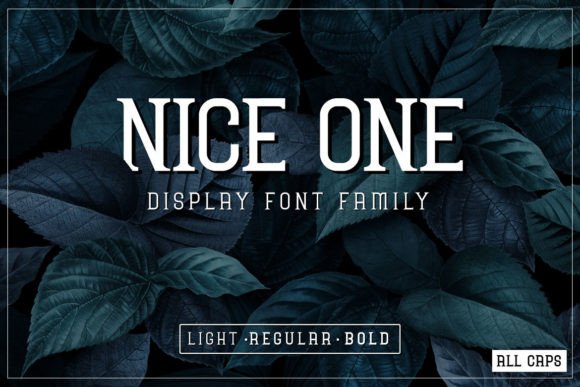 Nice One Display Font for Modern Editorial Design